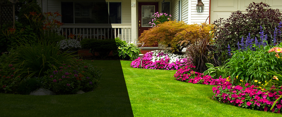 Magnolia Landscapers